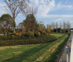 圖片5.png 圖片5.png