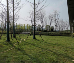 圖片4.png 圖片4.png